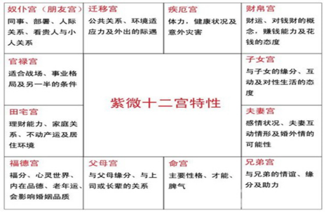 桃花源家族主题活动 | 紫微斗数：你的财富格局够大吗？