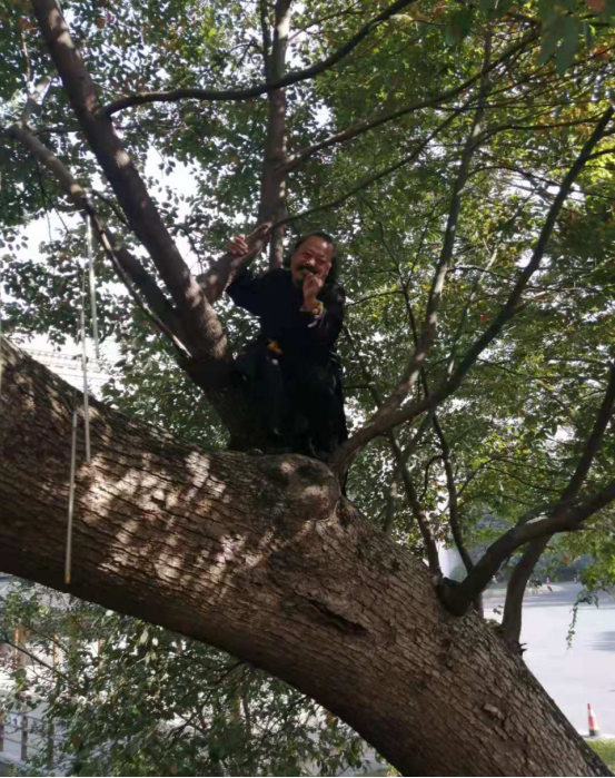 1574146548873993.png image.png